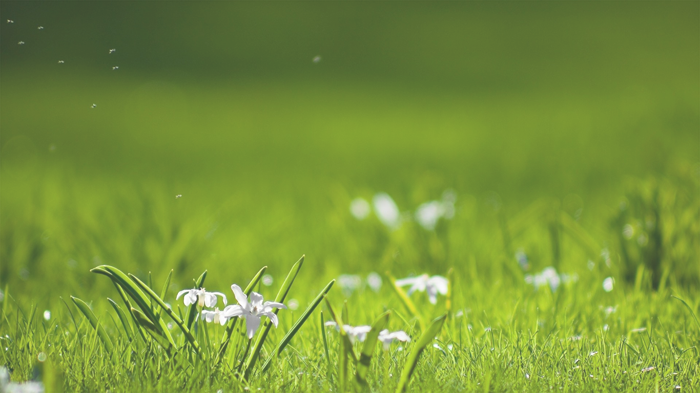 Water Harvesters Company, Water Harvesting Solutions, - Background Image For Html Website (1366x768), Png Download