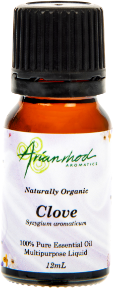 Clove Bud - Essential Oil (600x600), Png Download