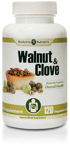 Bioactive Nutrients Olive Leaf Extract 700 Mg 90 Vegetarian (500x500), Png Download