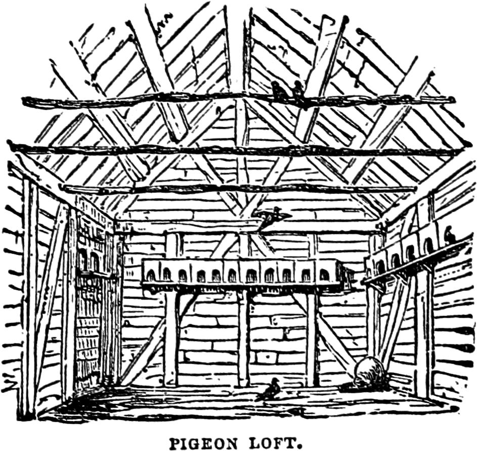 Jpeg Download - Loft Clipart (962x902), Png Download
