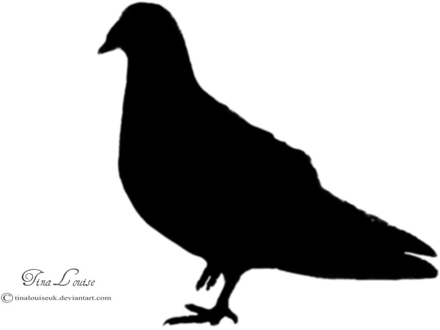 Go To Image - Pigeons And Doves (1024x768), Png Download