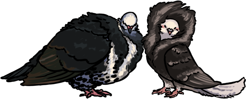 “yes - ” - Pigeons And Doves (851x354), Png Download