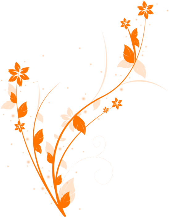 Floral Swirl - New Year Islamic Wishes (1024x768), Png Download