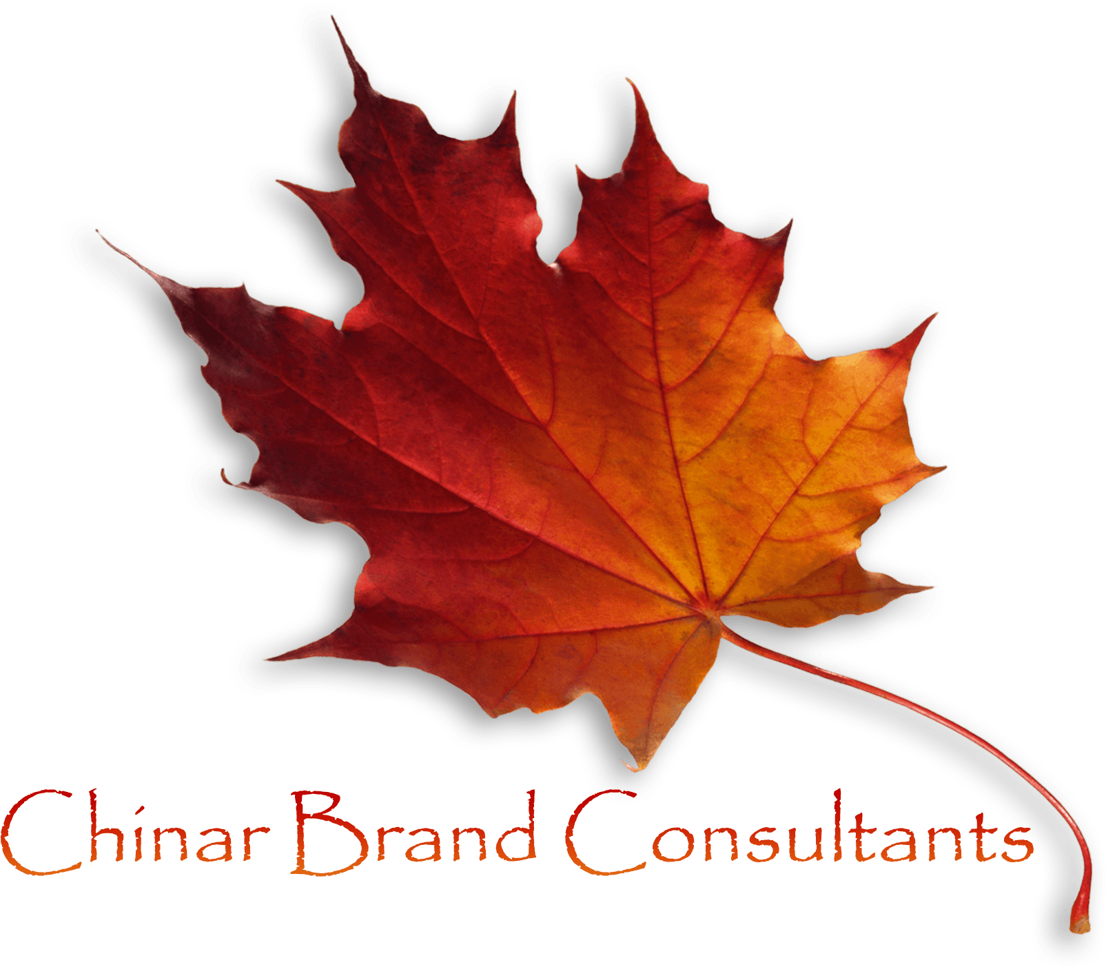 Logo-min - Maple Leaf (1605x1403), Png Download