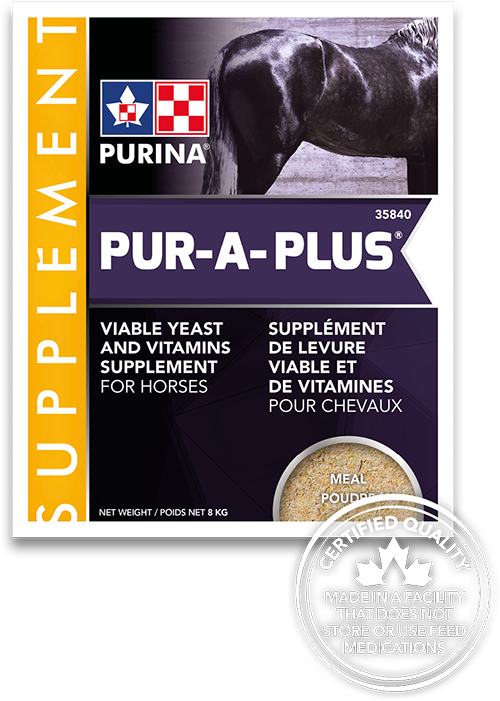 Purina Canada Pur A Plus - Purina Horse Feed (500x701), Png Download