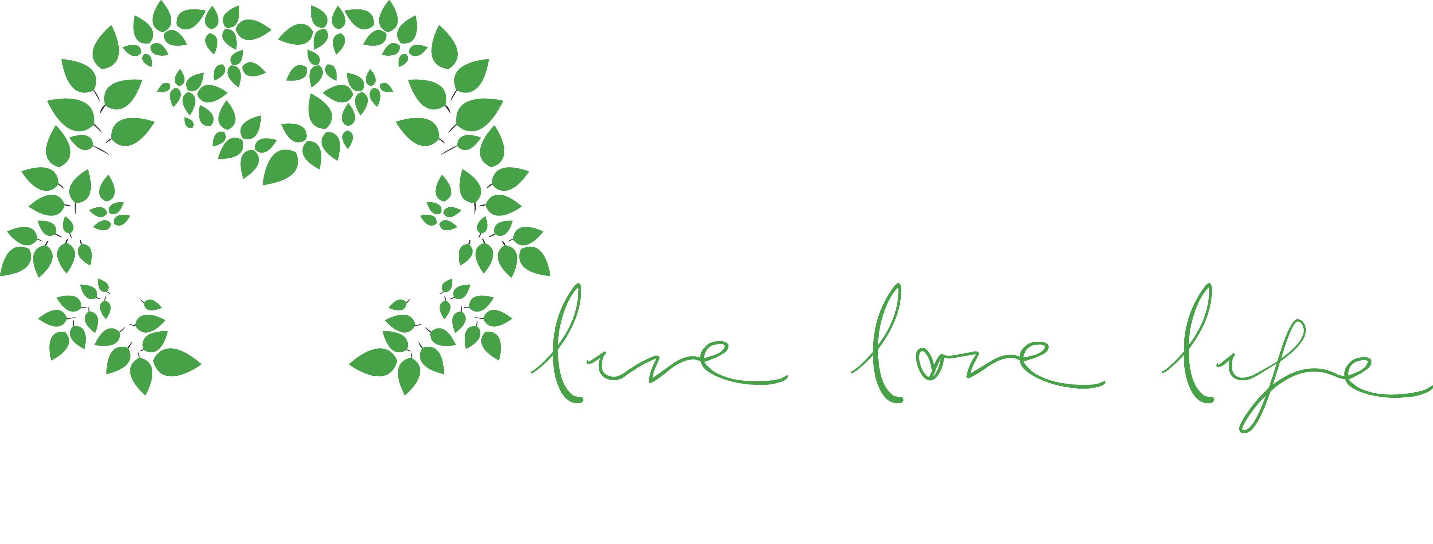 Diana Photography - Calligraphy (4552x1729), Png Download