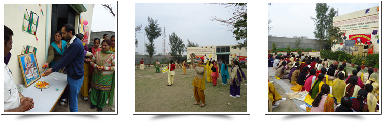 On 15th Feb “aai Basant Udi Patang'was Celebrated In - Tree (768x270), Png Download