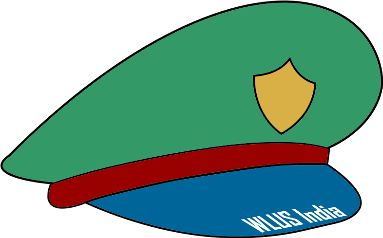 Wlus India Logo - Cartoon (1024x768), Png Download
