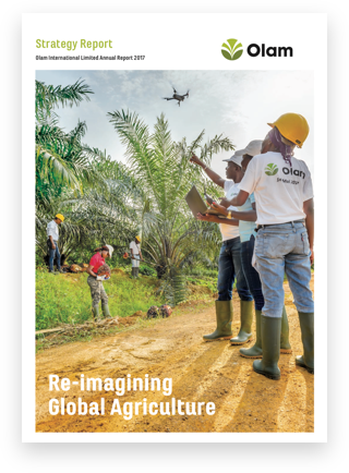 Annual Report - Report (320x434), Png Download