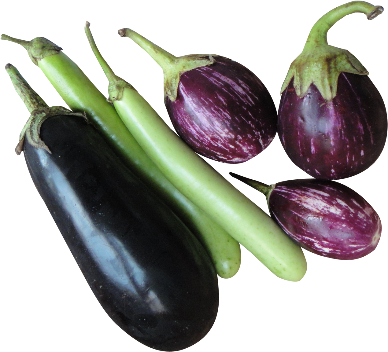 Brinjal Eggplant Png Image - Brinjal Png (1404x1284), Png Download