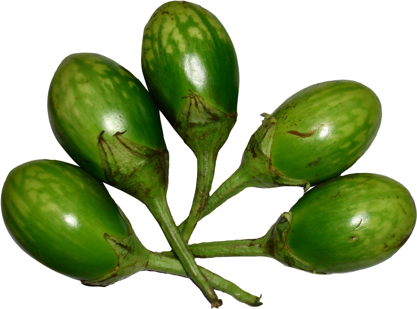 Brinjal Green Png Image - Brinjal Green Png (1519x1135), Png Download
