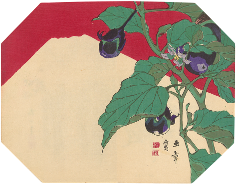 Aubergineplant En De Berg Fuji (500x391), Png Download