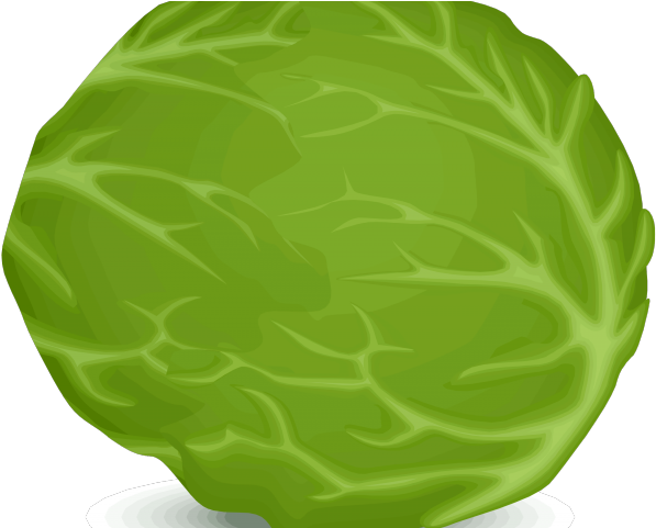 Lettuce Clipart Iceberg Lettuce - Clip Art (640x480), Png Download