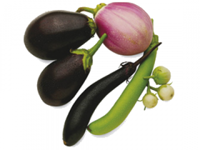 Eggplant (400x300), Png Download