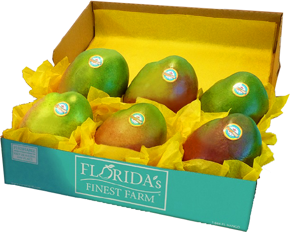Fff Fresh-mango - Season (625x625), Png Download