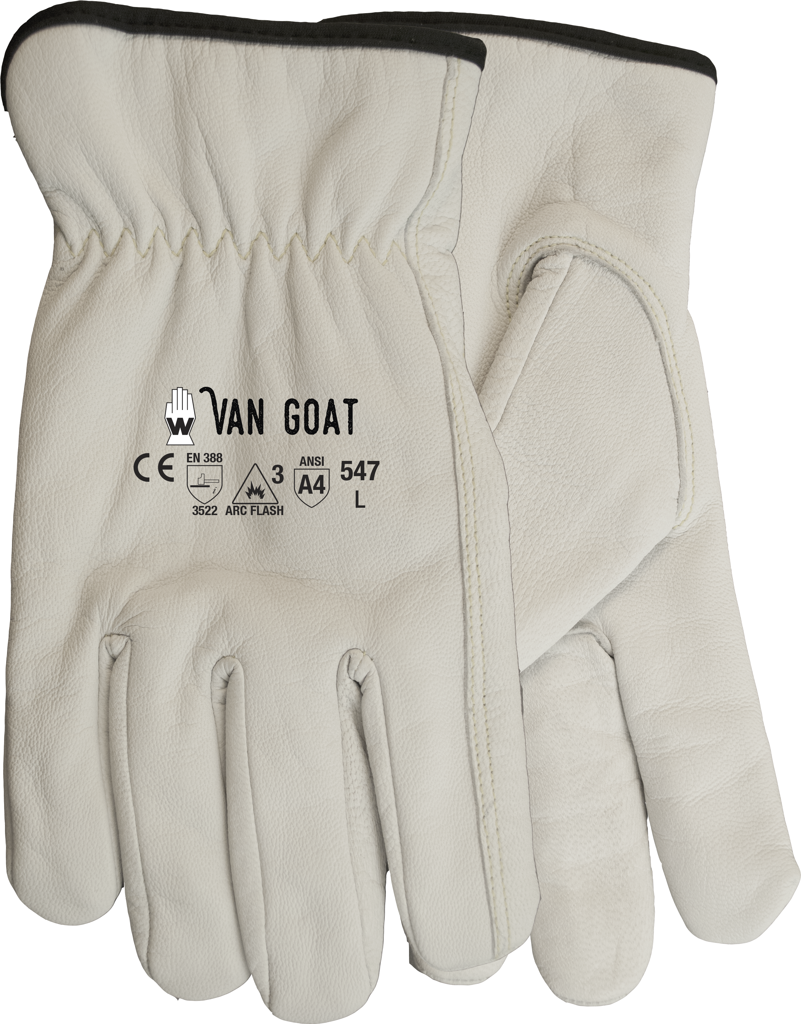 Download Product Photo - Hand (2896x3632), Png Download