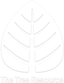 2018 The Tree Resource - Illustration (396x367), Png Download