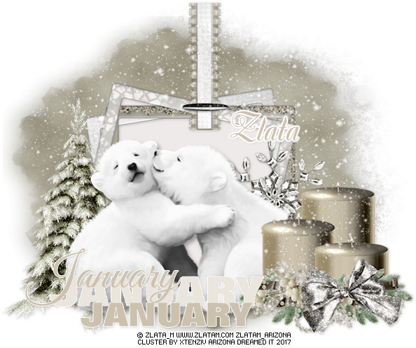 My Sweet Teddy Bear - Polar Bear (600x600), Png Download