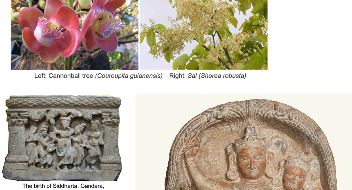 Stone Carving (1200x630), Png Download