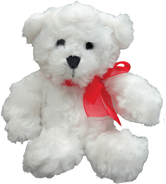 Teddy Bear (800x800), Png Download