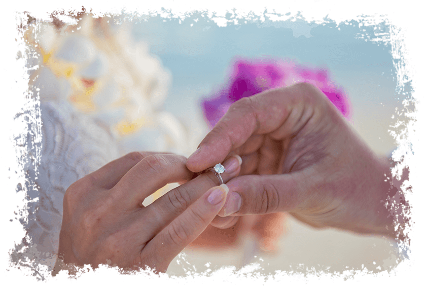 Maldives - Wedding - Tuna (868x582), Png Download