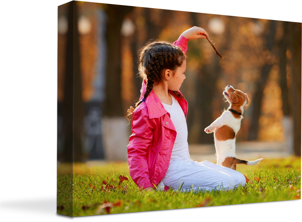 Canvas Prints Photos To Canvas Prints Save Today Png - Dog (1246x901), Png Download