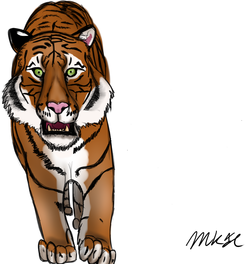Drawn Tiger Mad Tiger - Drawing Of Mad Tiger (1280x1200), Png Download