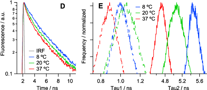 Fluorescence Lifetime Imaging Of Porcine Eye Lens Slices - Plot (698x299), Png Download
