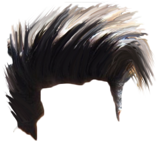 Hair Png Download Hd Quality - Picsart Photo Studio (1080x894), Png Download