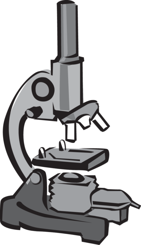 Free Download Microscope Clipart Optical Microscope - Microscope Clipart (462x800), Png Download