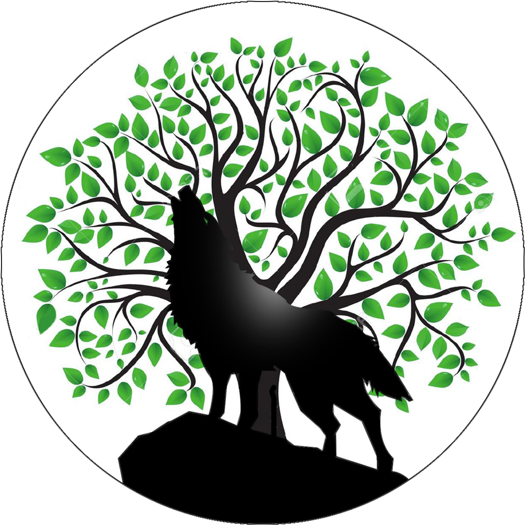 1 - Clipart Transparent Background Tree (1079x1179), Png Download