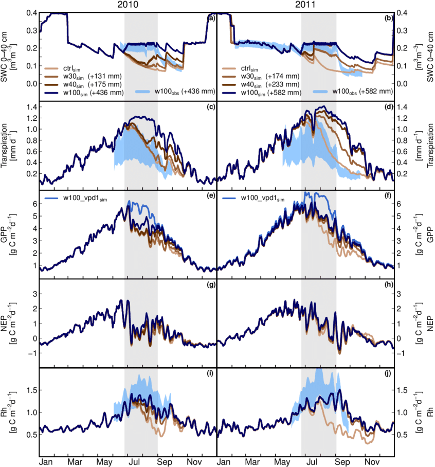 Effects Of Experimentally Decreased Summer Drought - Plot (850x953), Png Download