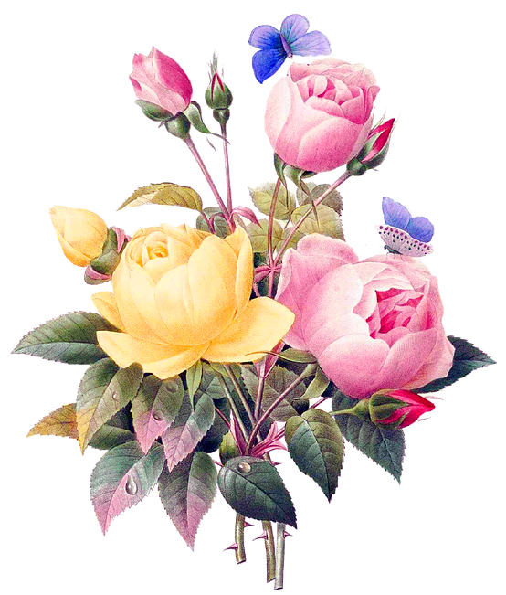 Flowers, Vintage, Cutout, Cut Out, Backless, Bouquet - Flores Vintage Png (720x720), Png Download