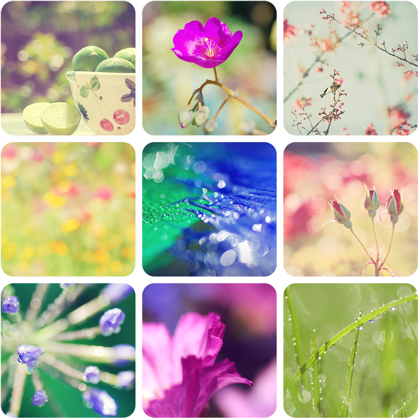 52 - Photography (920x924), Png Download