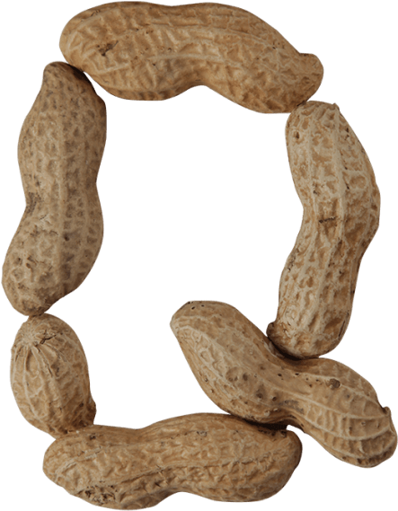 Peanuts Font - Font (595x595), Png Download