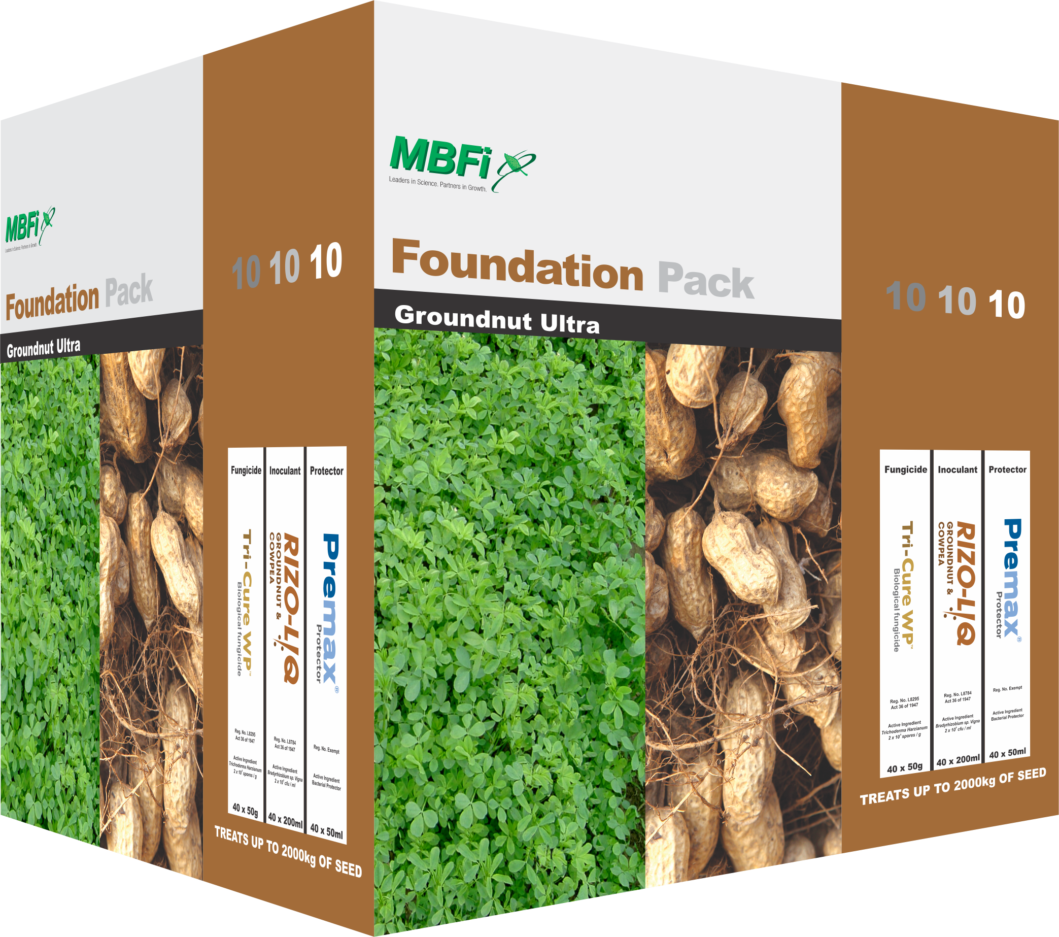 Groundnut 101010 - Peanut (2087x1846), Png Download