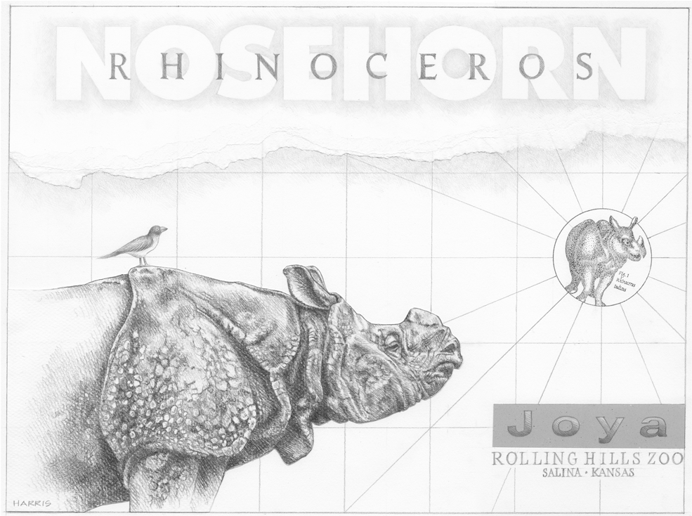 Joya Pencil Drawing - Drawing (1000x1000), Png Download