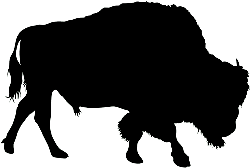 American Buffalo Sihouette - Designart 'bison Double Exposure Illustration' Large (600x472), Png Download