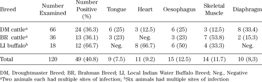 Distribution Of Sarcocystis Spp - Number (850x268), Png Download