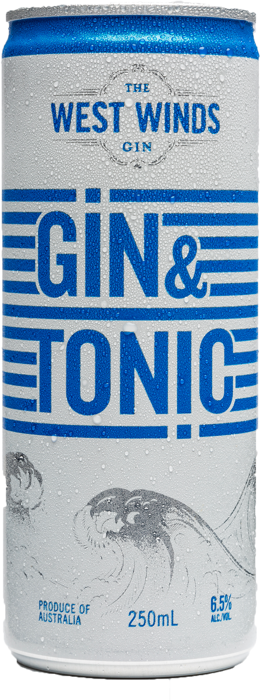 The West Winds Gin Sabre Gin And Tonic Cans 250ml - West Winds Gin And Tonic (1600x2000), Png Download