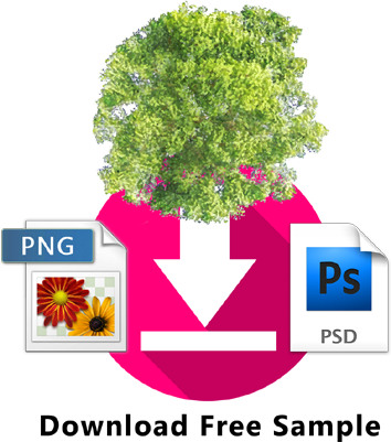 Top View Plants Images - Plan (354x401), Png Download