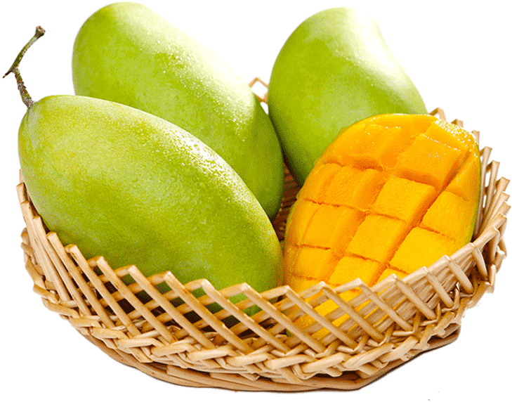 Lightbox Moreview - Mangifera Indica (800x800), Png Download