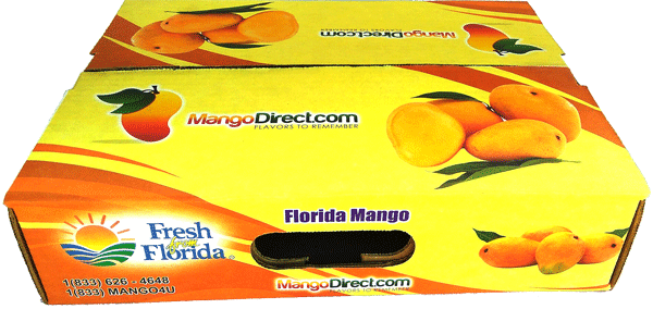 Mandarin Orange (600x284), Png Download