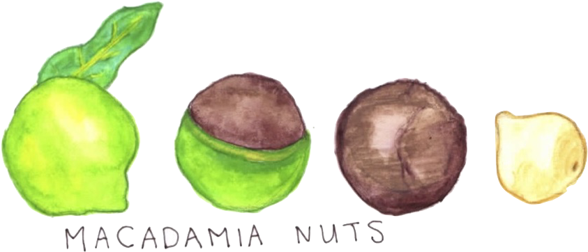 I Have Worked For Good Food And Currently Write For - Child Art (869x413), Png Download