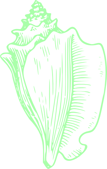 How To Set Use Green Shell Wedding Clipart (378x593), Png Download