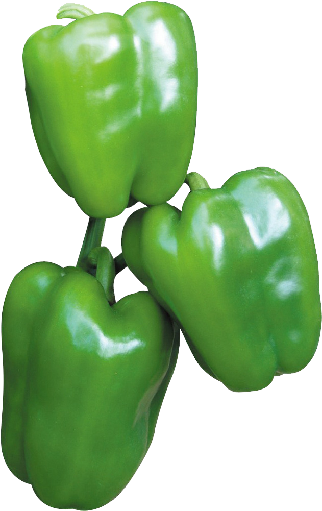 Green Capsicum - Bell Pepper (1000x1000), Png Download