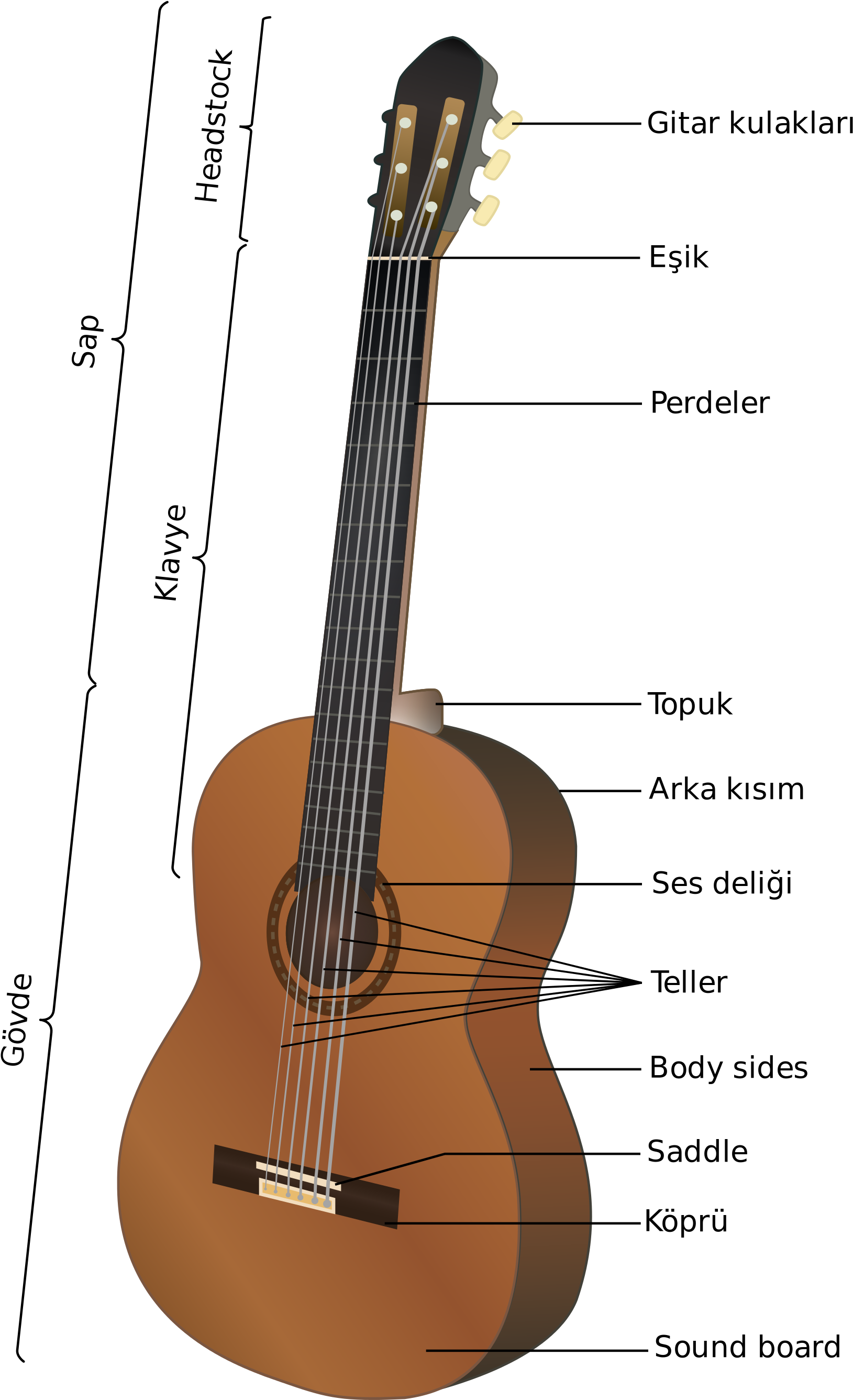 Open - Partes De La Guitarra (2000x2754), Png Download