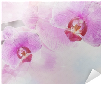 Orchid Flower Background, Tender Blur Colors And Bokeh - Photography (400x400), Png Download