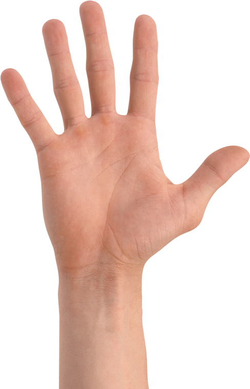 The White Box Approach - Cartazes Museu Da Casa Brasileira (759x759), Png Download