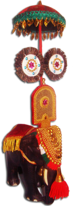 More Views - Elephant With Nettipattam Png (800x800), Png Download